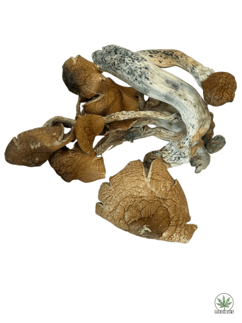 Tidal Wave Magic Mushrooms $5/G - Mohawk Medibles